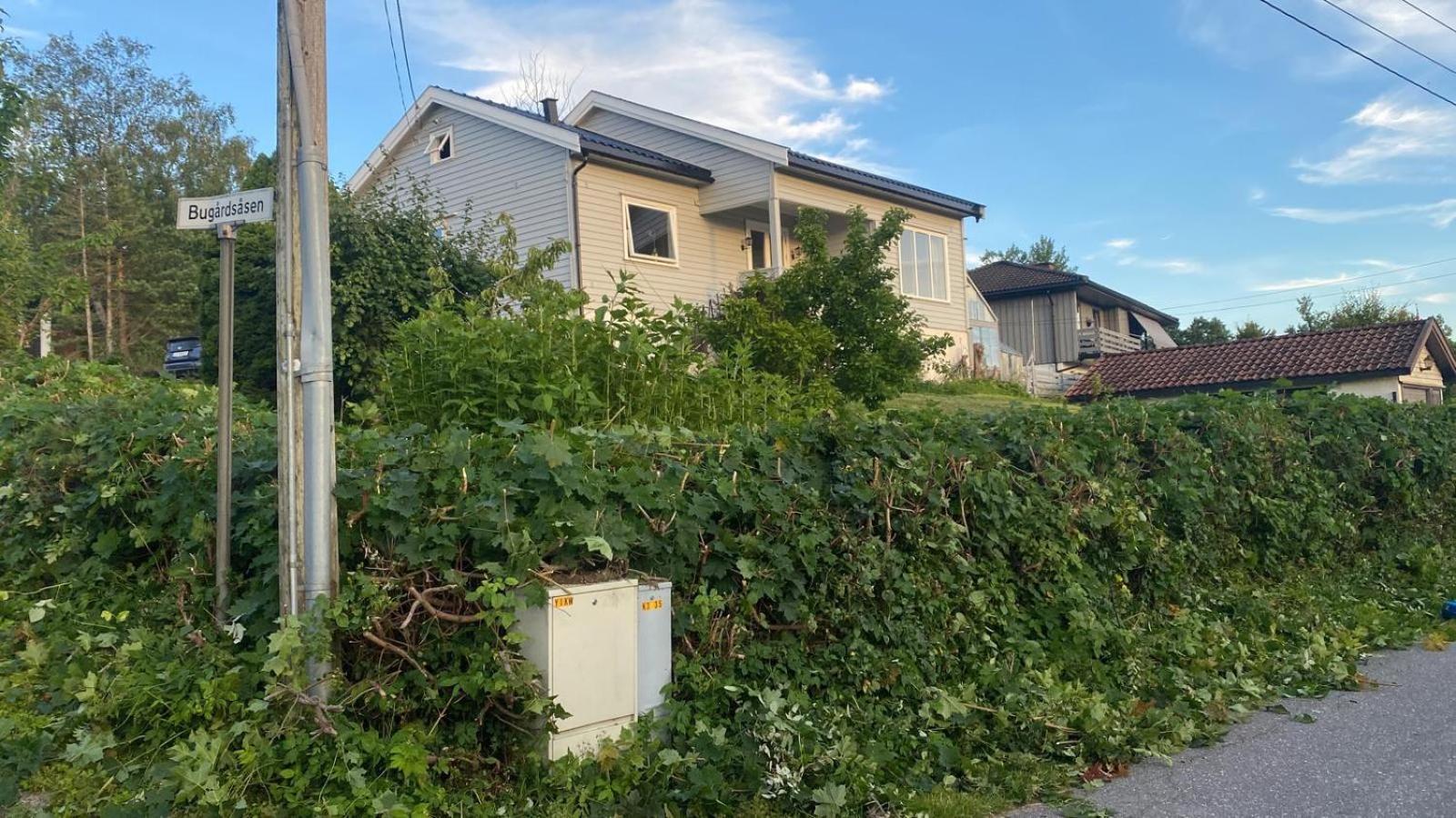 Bugardsasen1, Whole House Villa Sandefjord Dış mekan fotoğraf